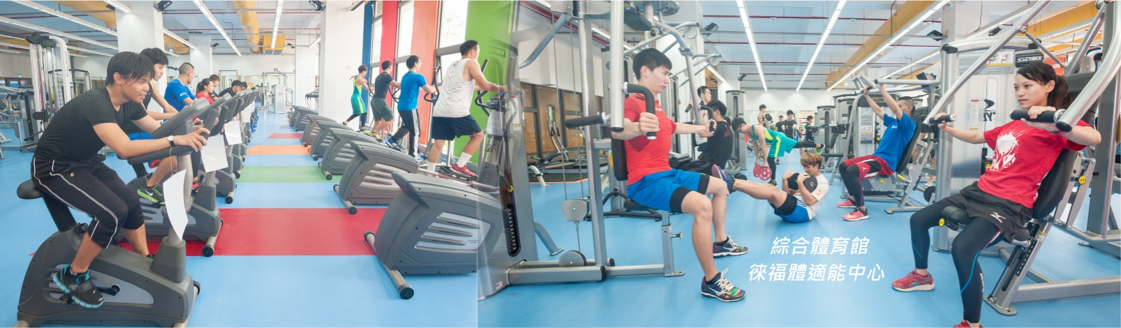 Link to 國立臺東大學 健身房